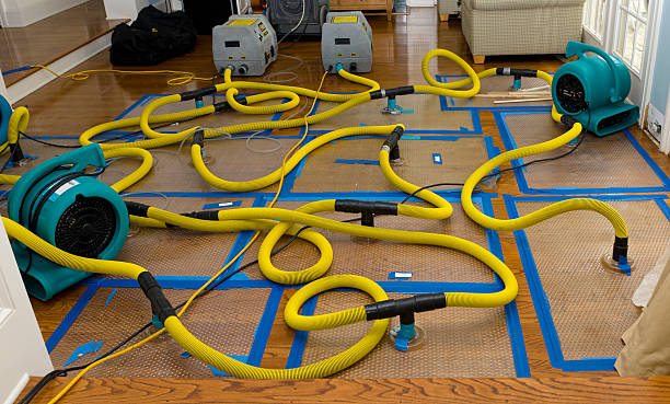 Professional Crawl Space Water Removal technician working in Elwood, NY